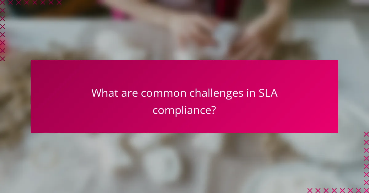 What are common challenges in SLA compliance?