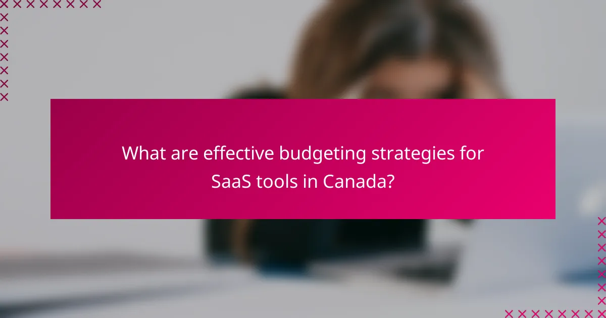 What are effective budgeting strategies for SaaS tools in Canada?