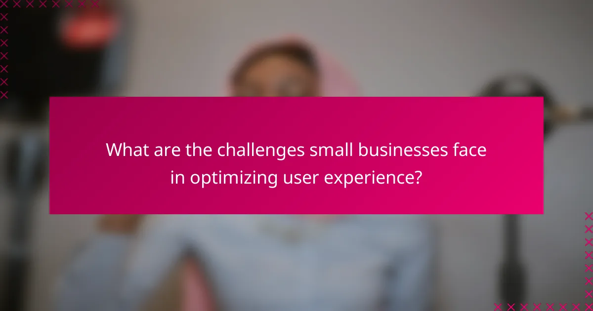 What are the challenges small businesses face in optimizing user experience?