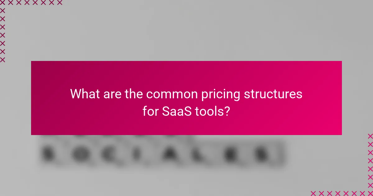 What are the common pricing structures for SaaS tools?