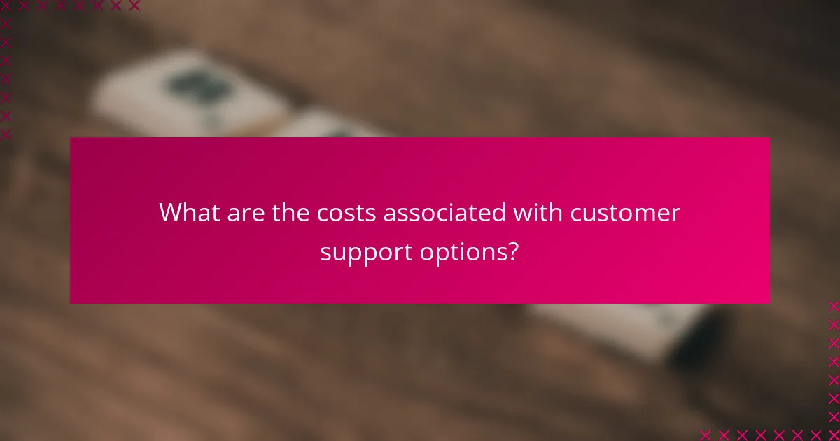 What are the costs associated with customer support options?