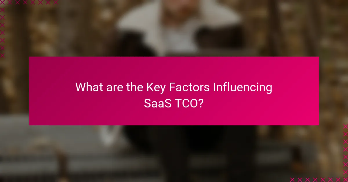 What are the Key Factors Influencing SaaS TCO?
