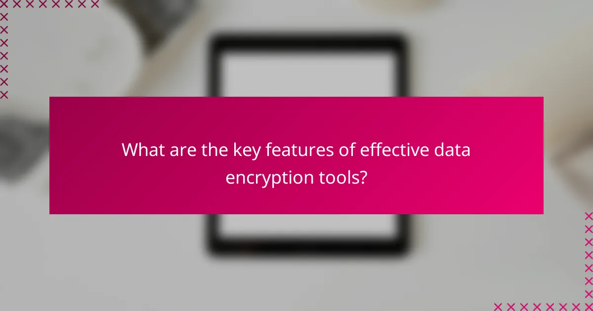What are the key features of effective data encryption tools?
